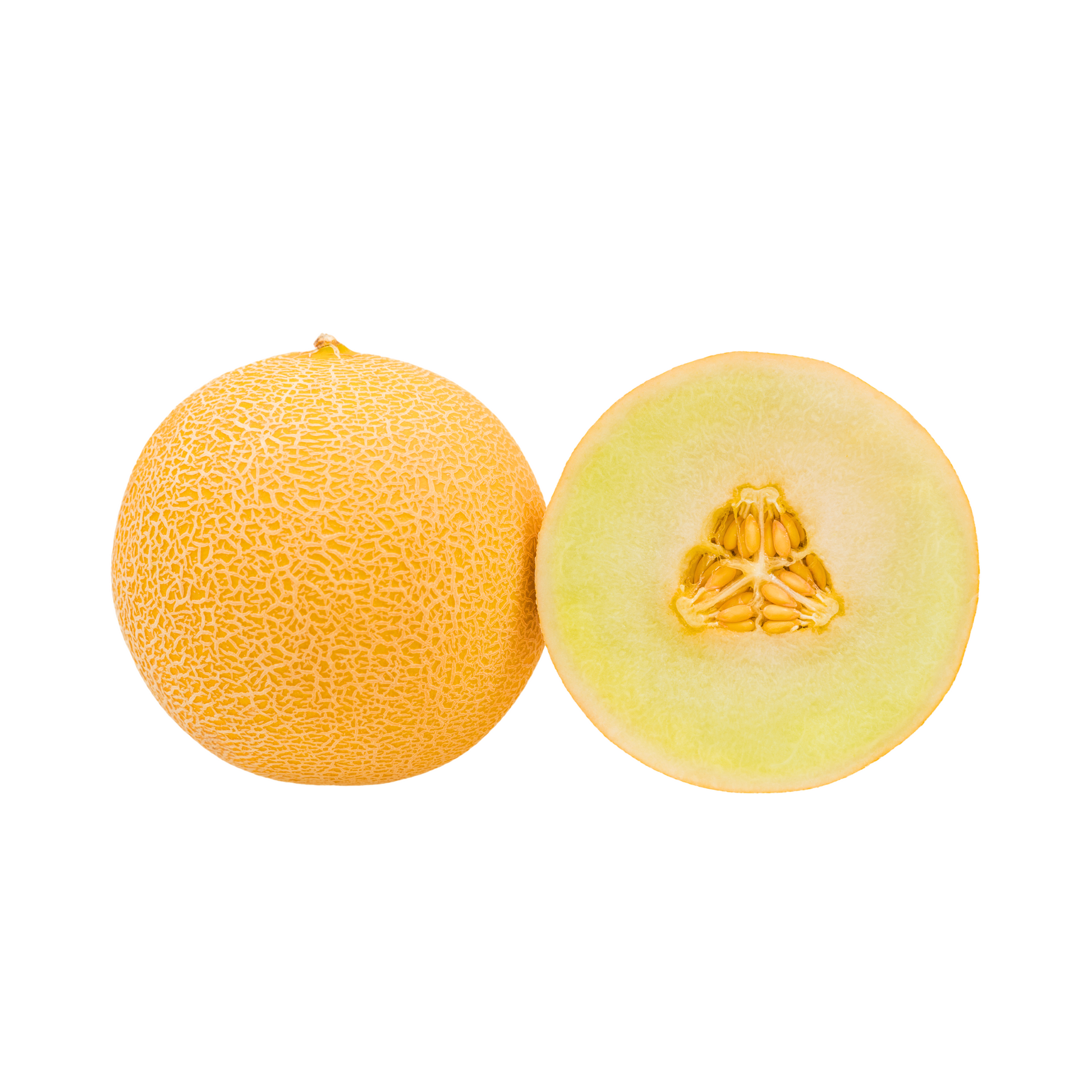 products/000000000004804907.png