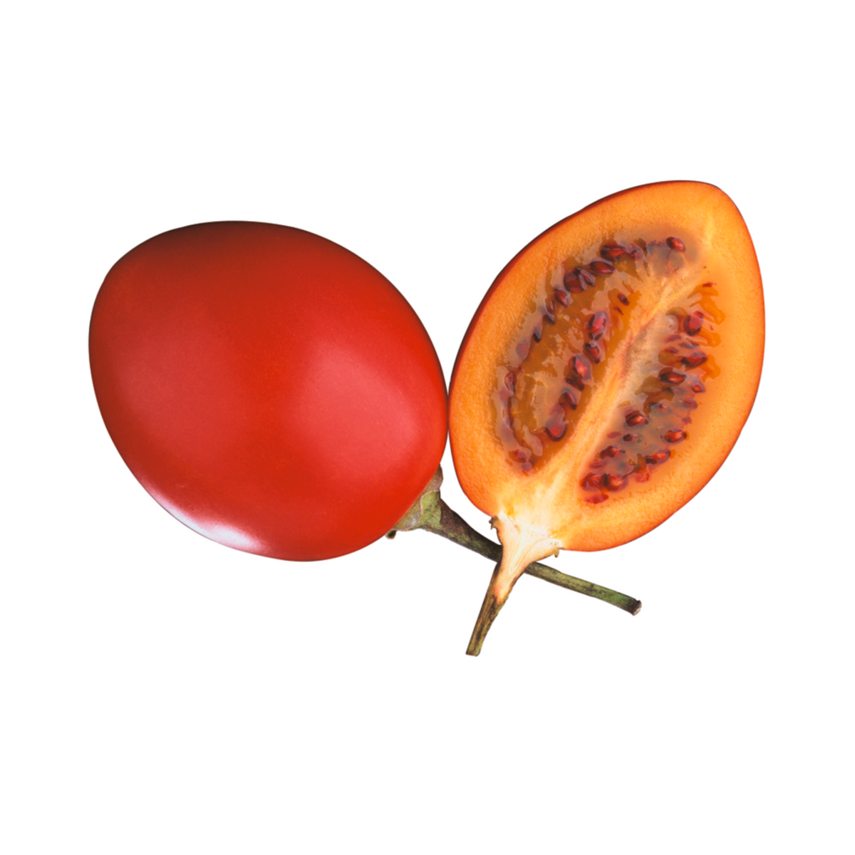 products/000000000004805023.png