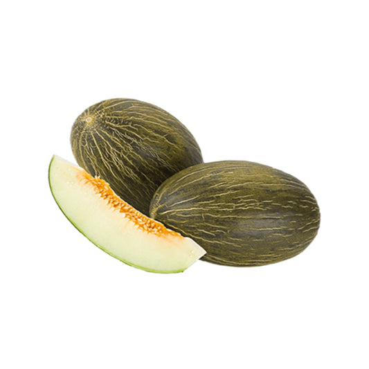 Piel de Sapo Melonen
