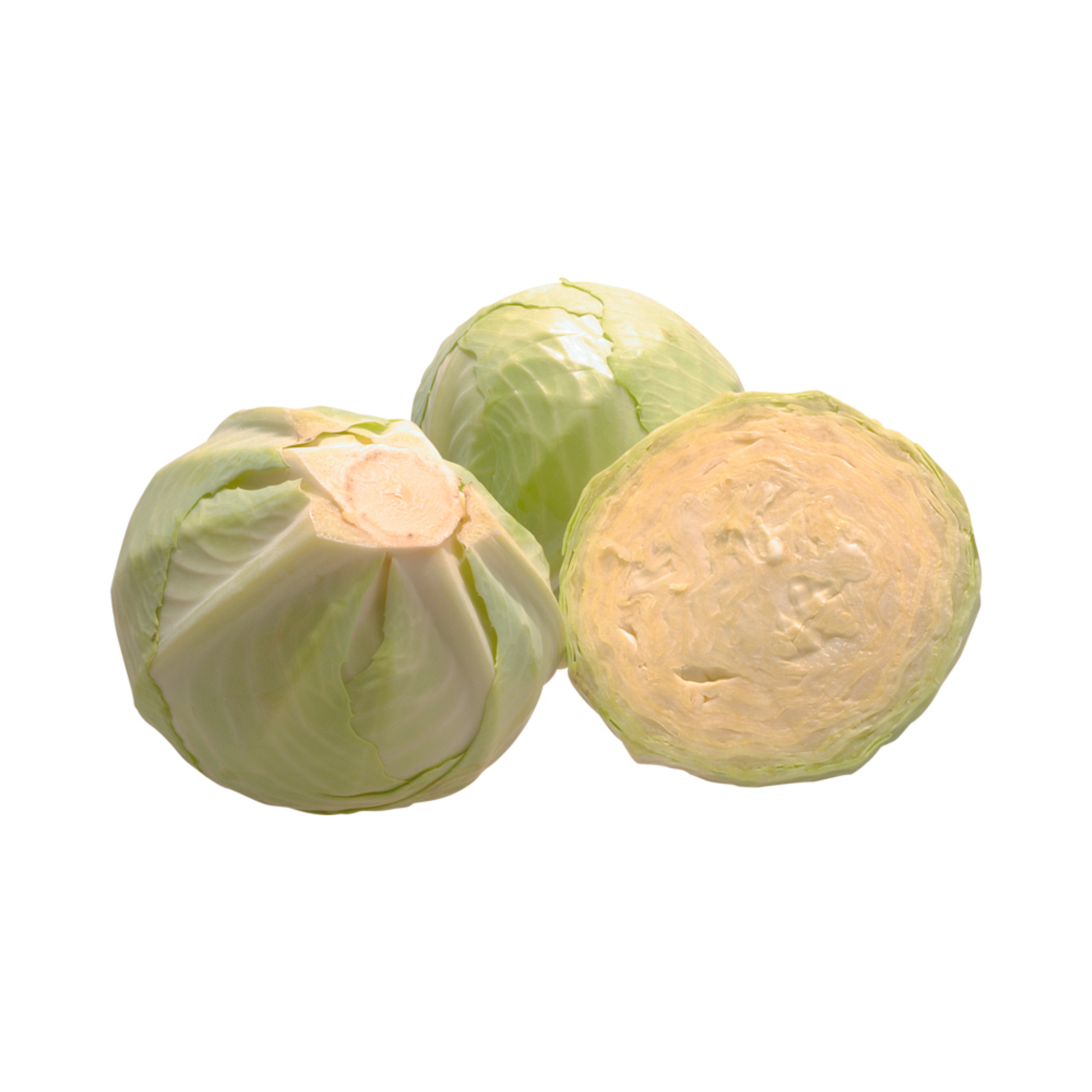 products/000000000004806088.png