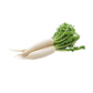 products/000000000004806781.png