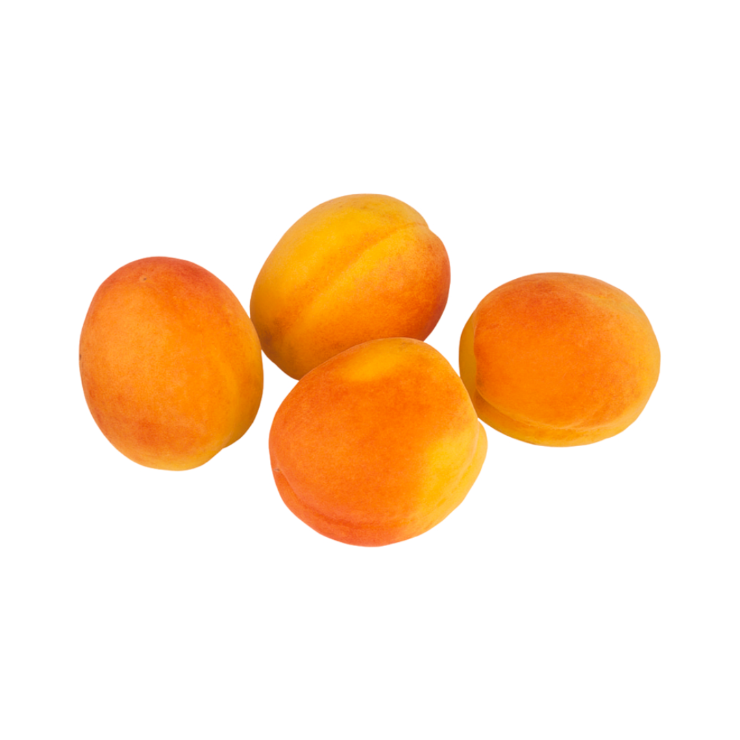 products/000000000004806941.png