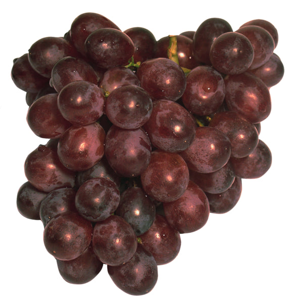 products/000000000004807005.jpg