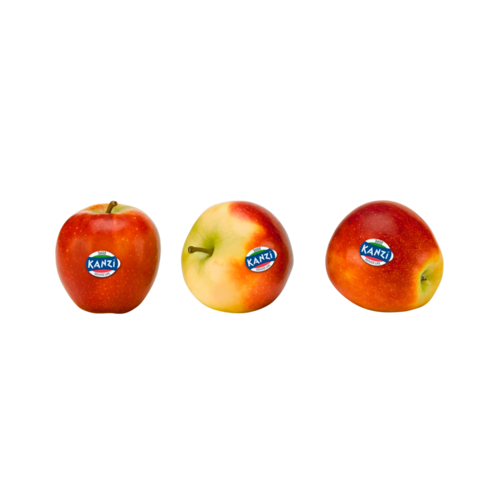 products/000000000004807401.png