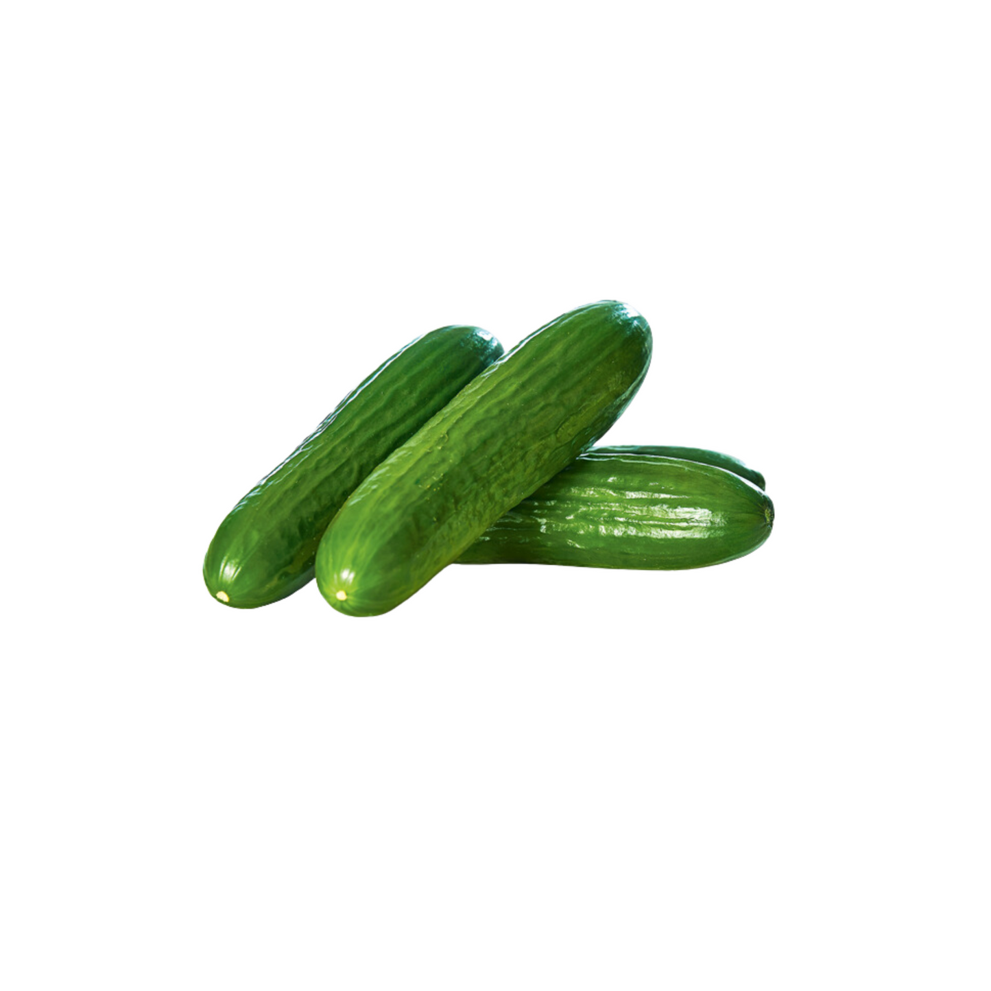 products/000000000004807531.png