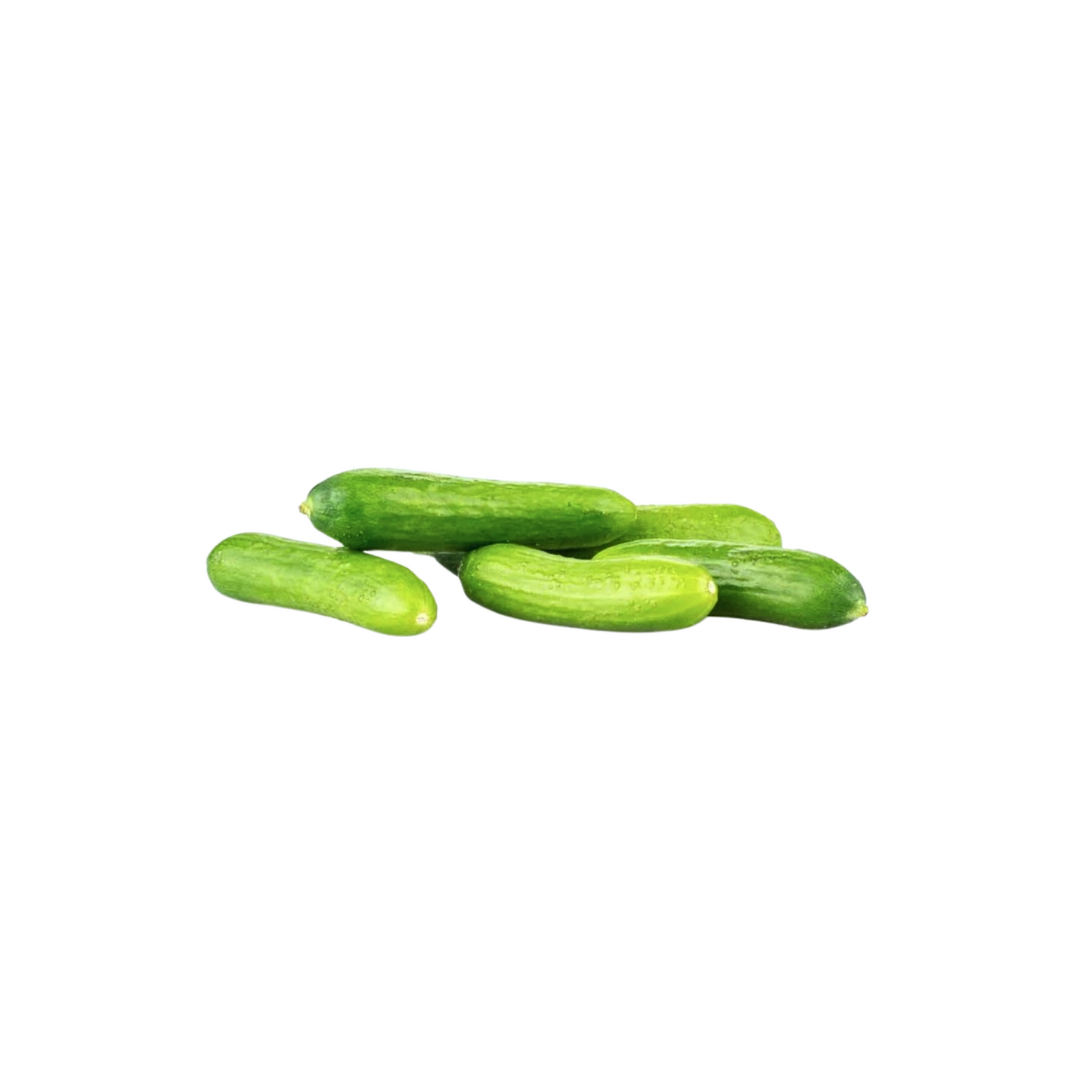 products/000000000004807906.png
