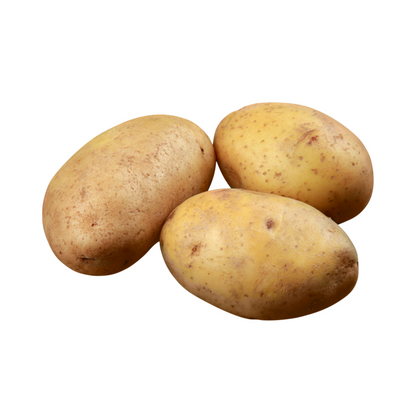 Frühkartoffeln festkochend Sieglinde