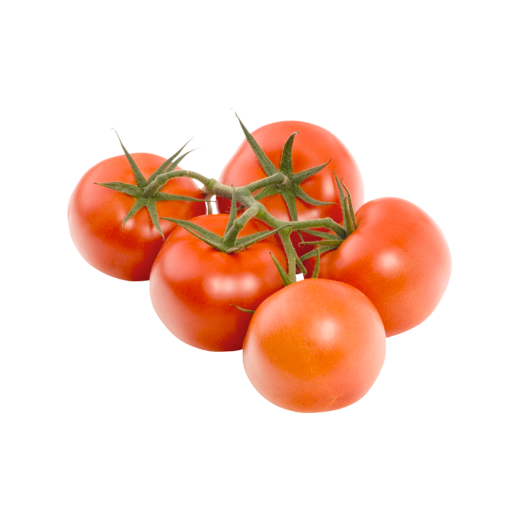 products/000000000004808145.png