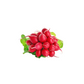 products/000000000004808169.png
