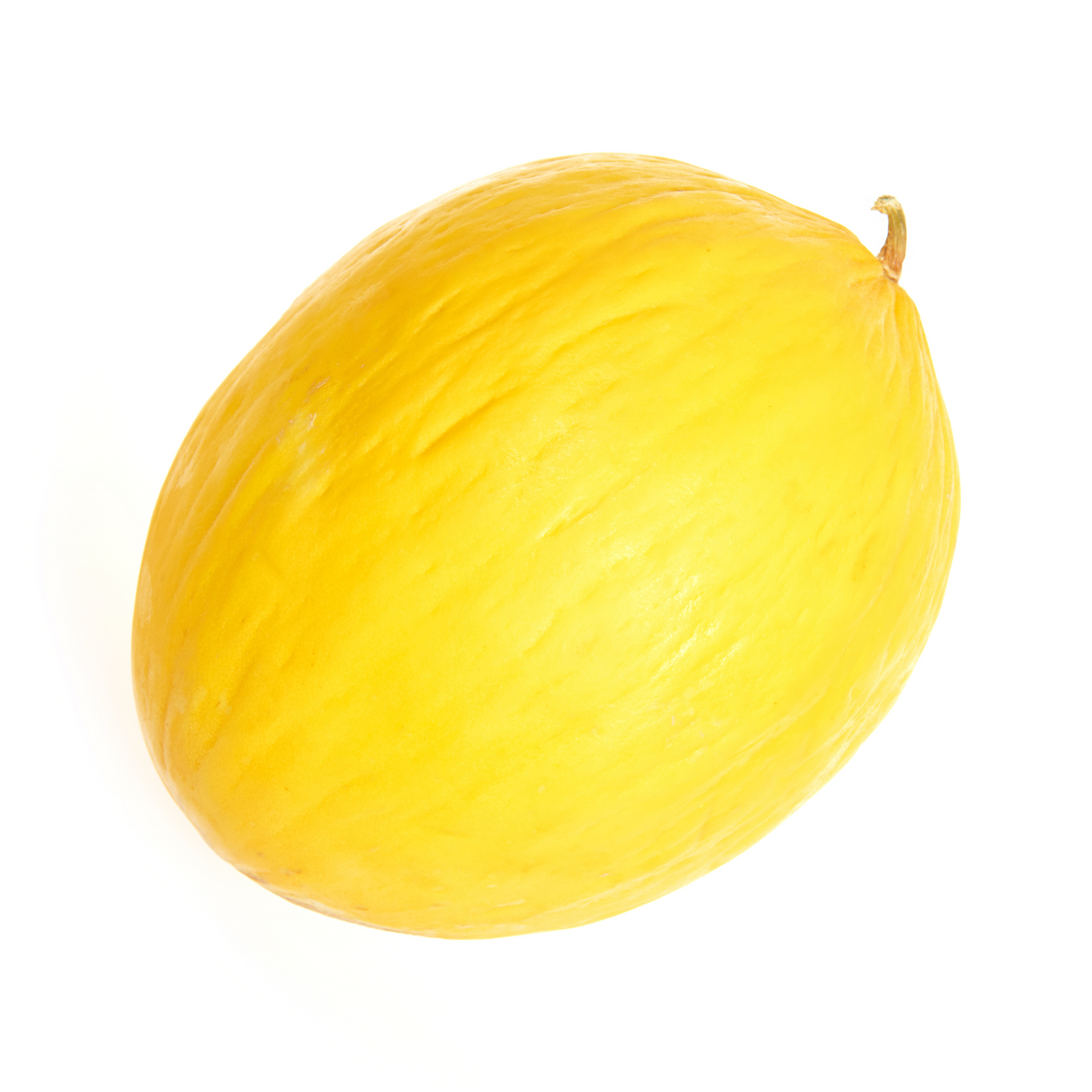 products/000000000004808442.png