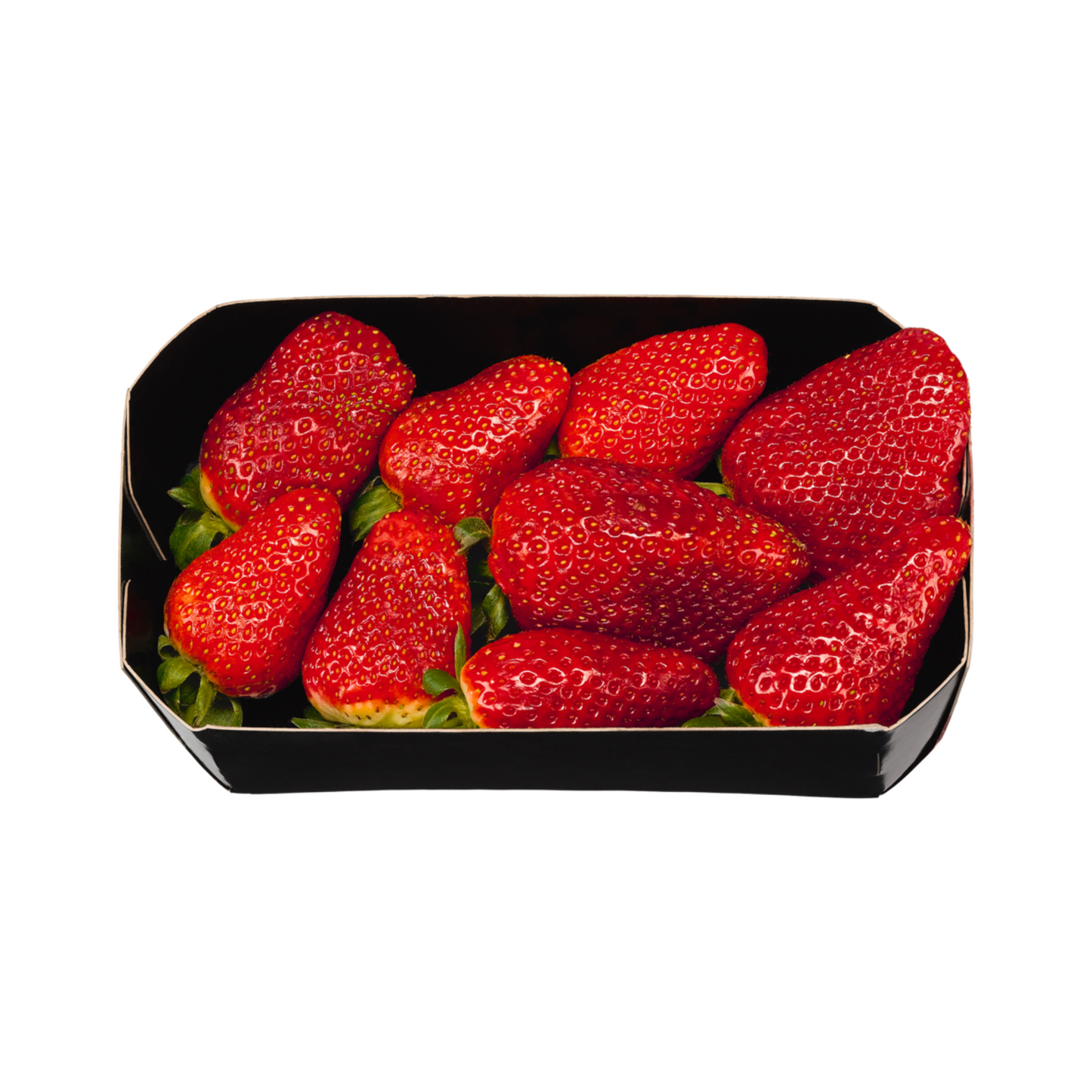 products/000000000004813260.png