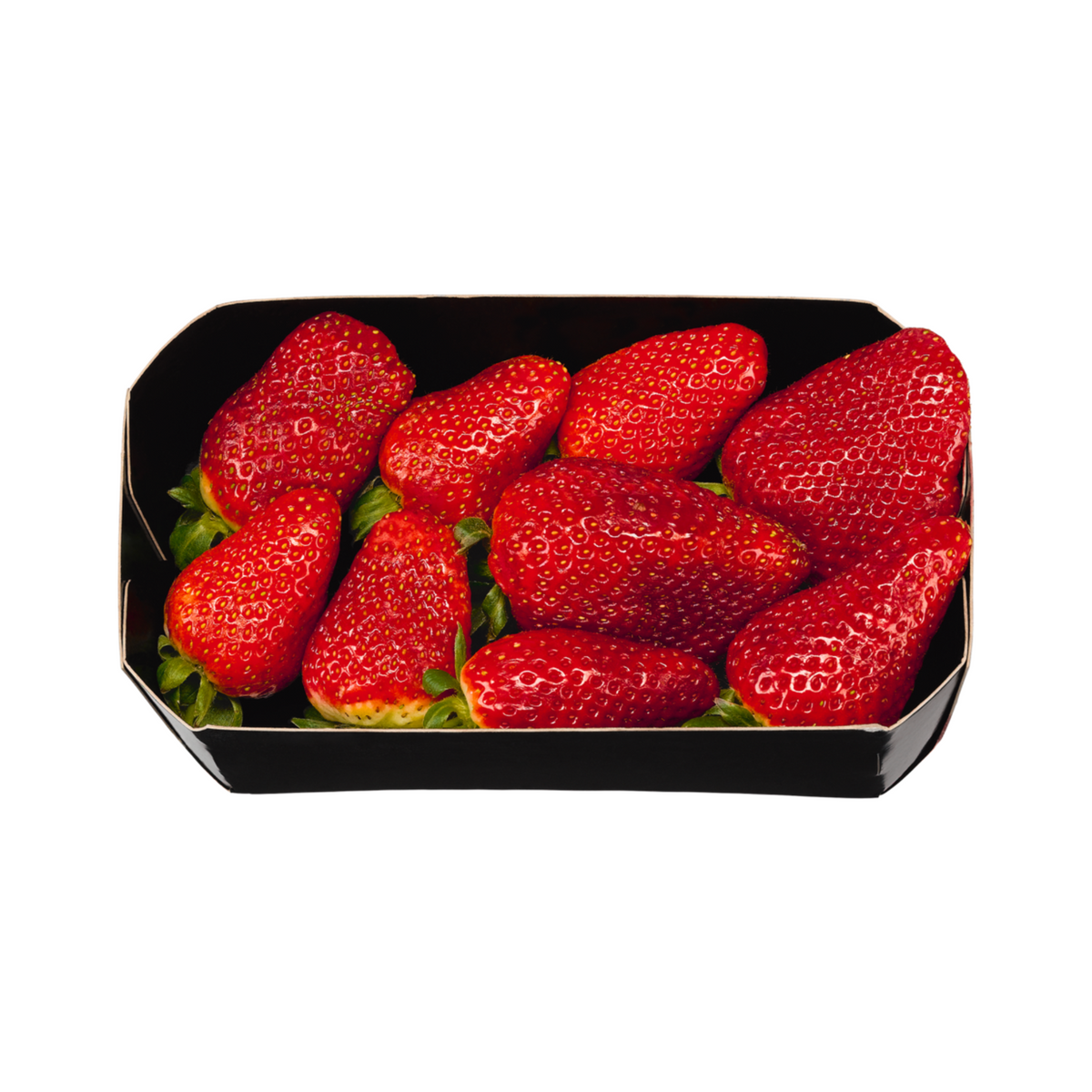 products/000000000004813260.png