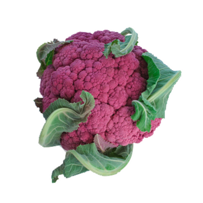 Blumenkohl violett