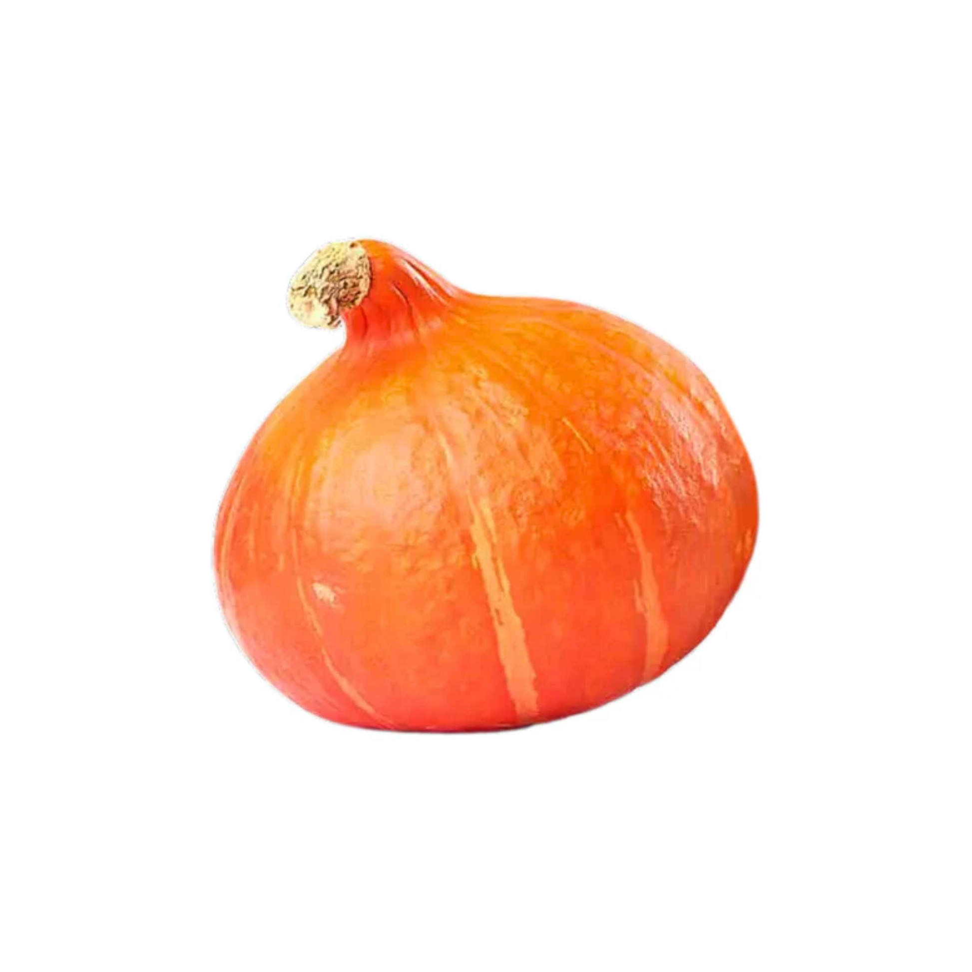 products/000000000004815877.png