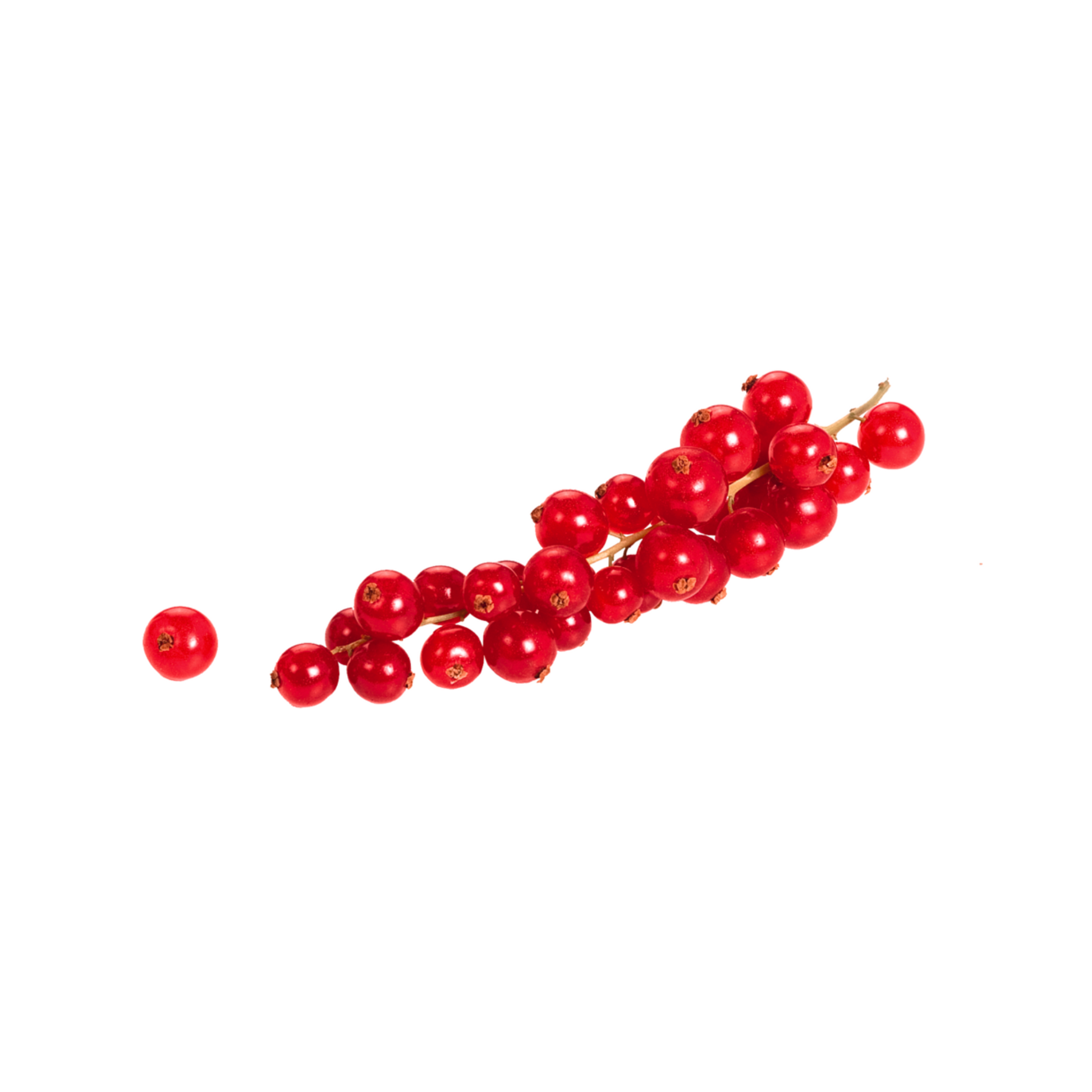 products/000000000004816016.png