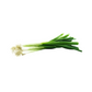 products/000000000004816603.png