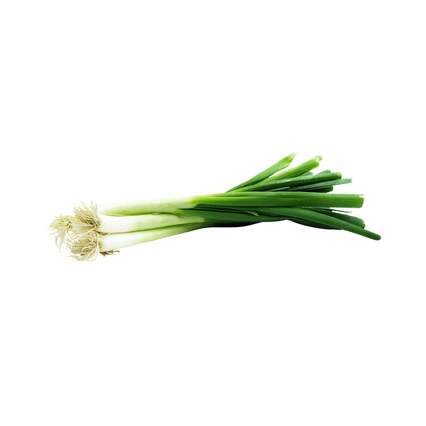 products/000000000004816603.png