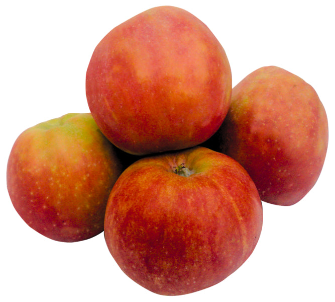 Äpfel Gravensteiner