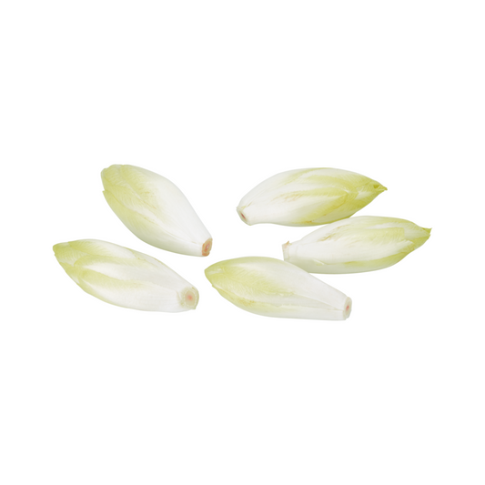 Chicoree Niederlande Klasse I 500g Flowpack