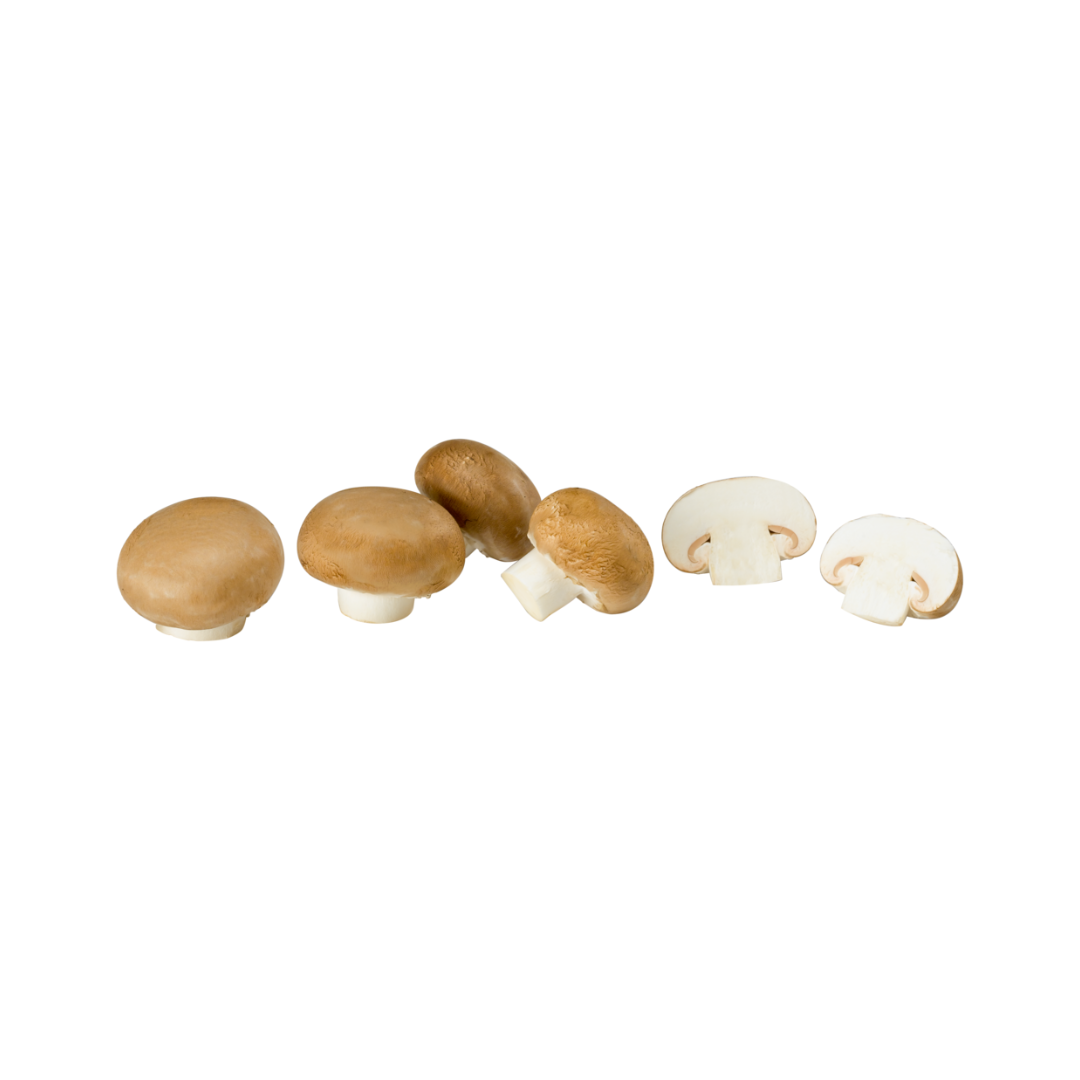 products/000000000080007595.png