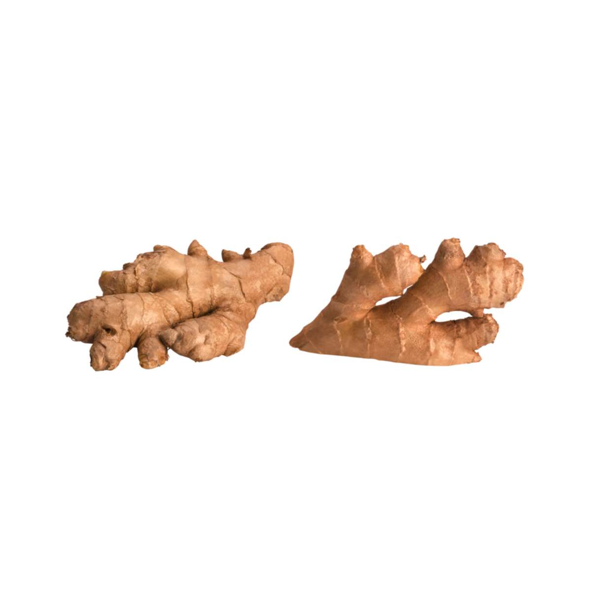 products/000000000080007885.png