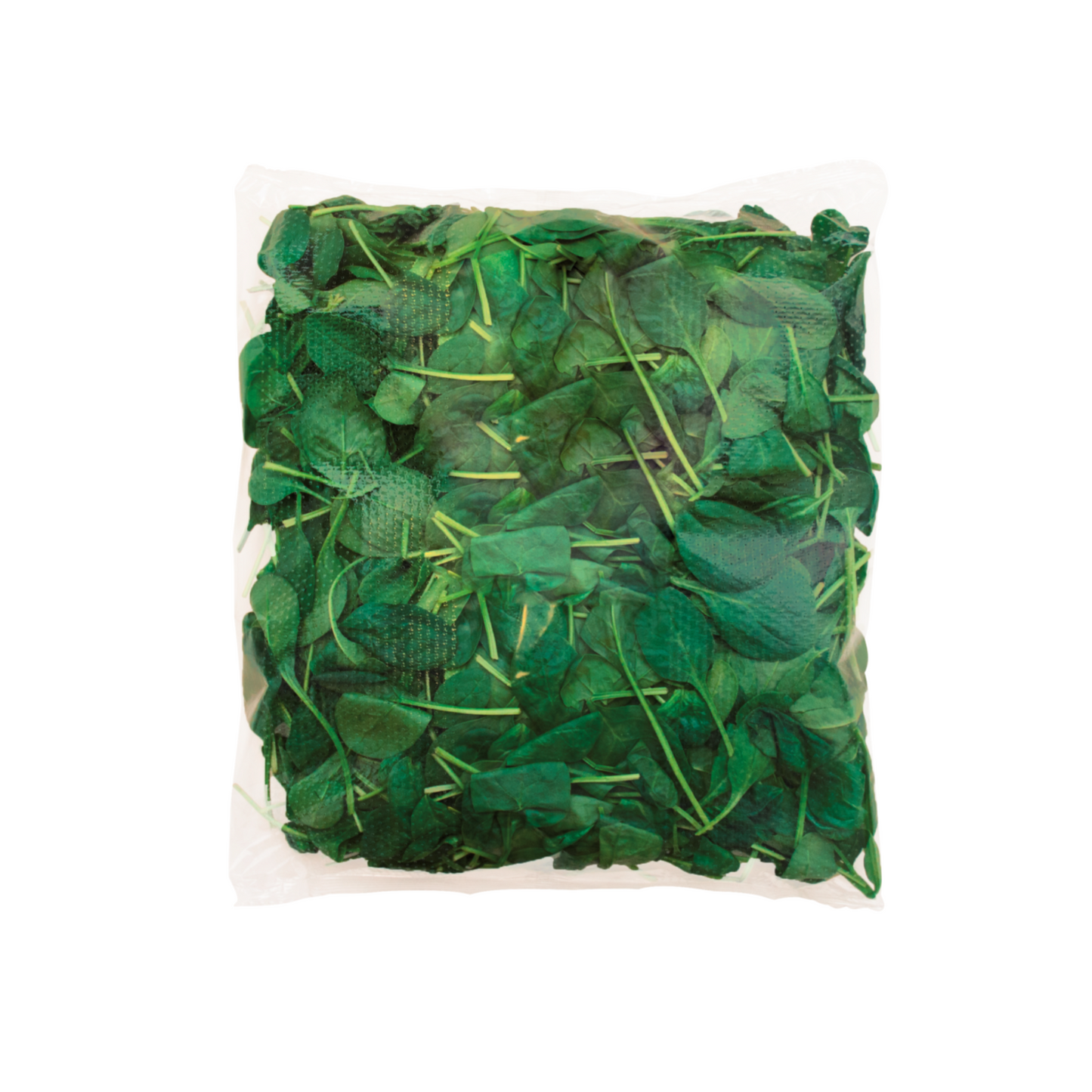 Blattspinat Italien Klasse I 500g Flowpack