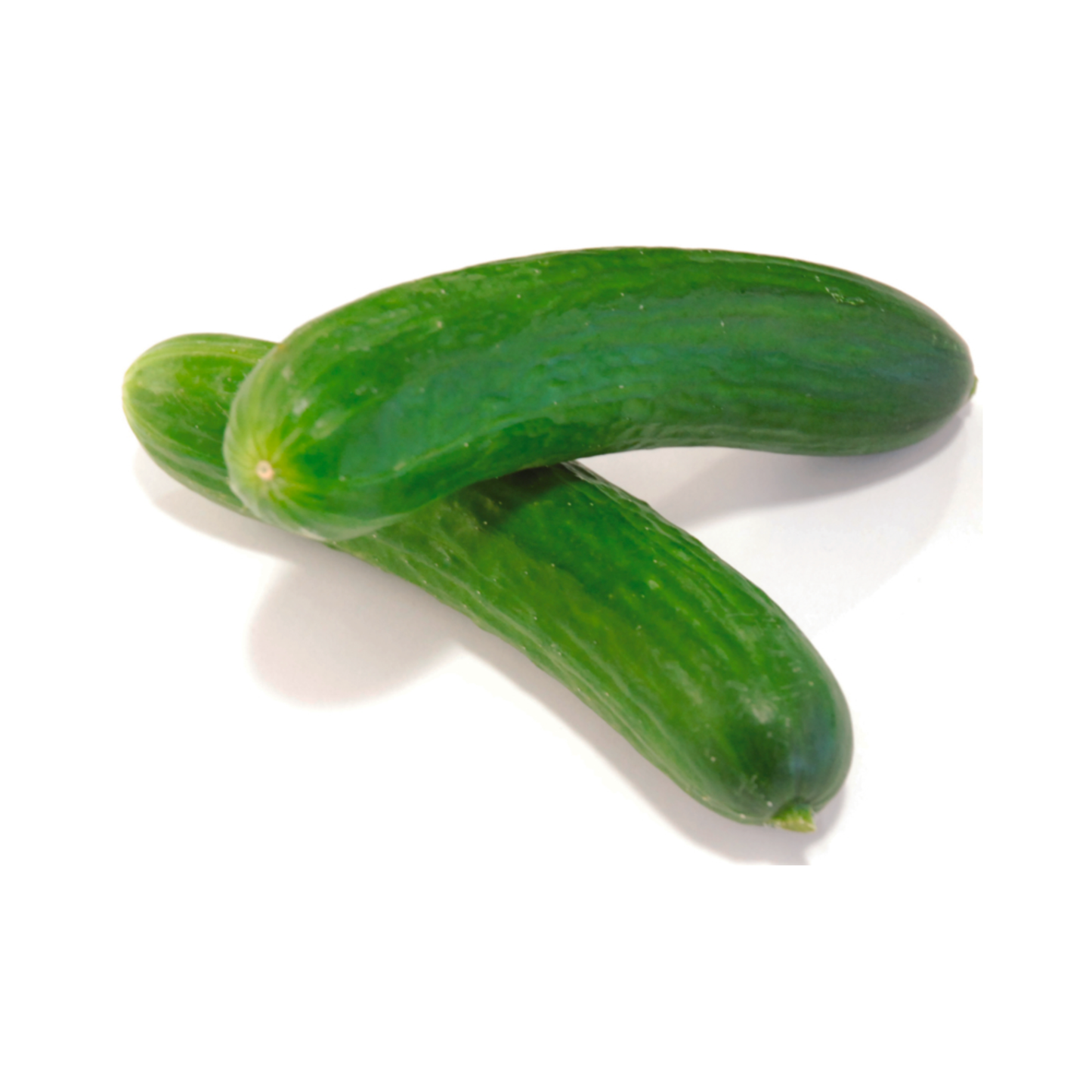 products/000000000080032607.png