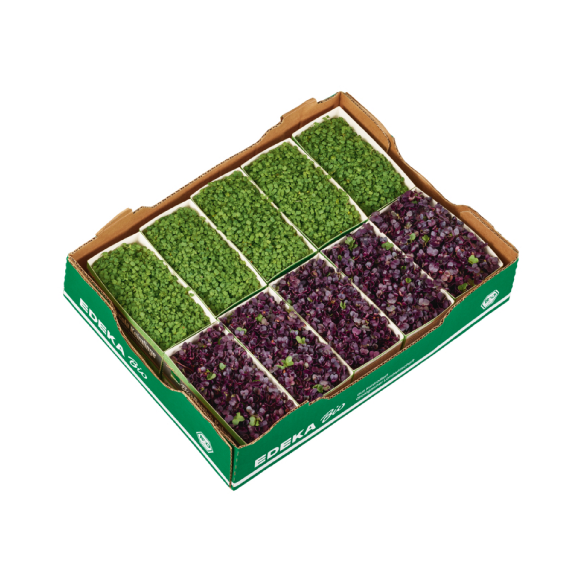 products/000000000080035521.png