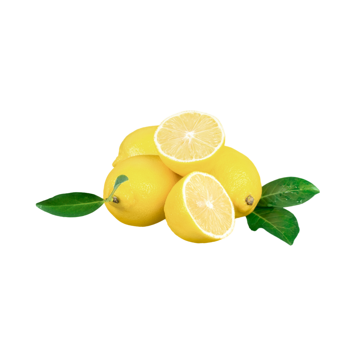 products/000000000080063922.png