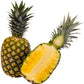 products/000000000080067108.jpg