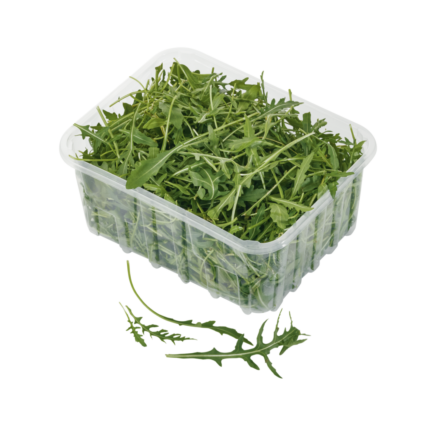 Rucola Italien Klasse I 125g Schale mit Flowpack
