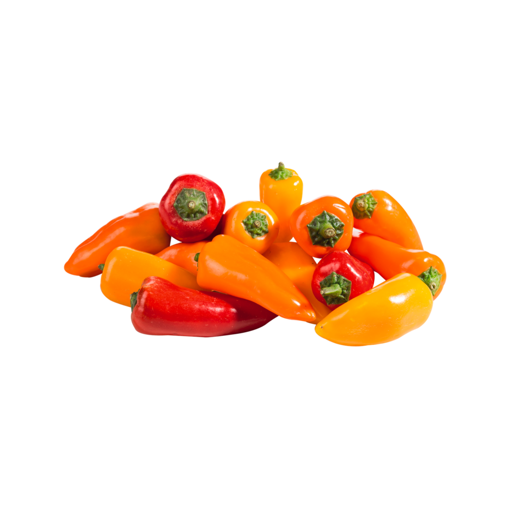 products/000000000080138277.png