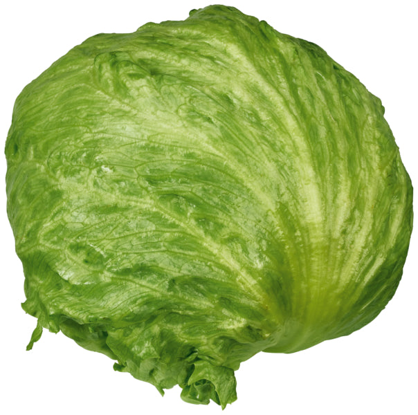 GUT&GÜNSTIG Eisbergsalat 10 Stück Spanien Klasse I Folie