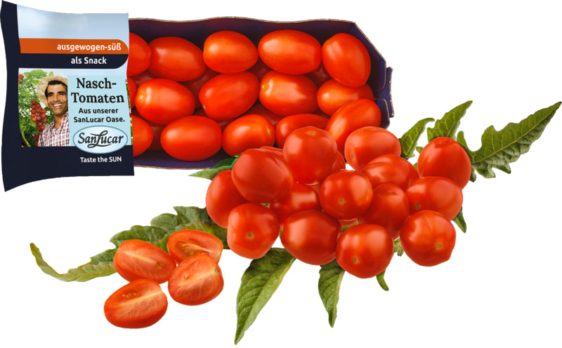 products/000000000080186825.jpg
