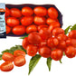 products/000000000080186825.jpg
