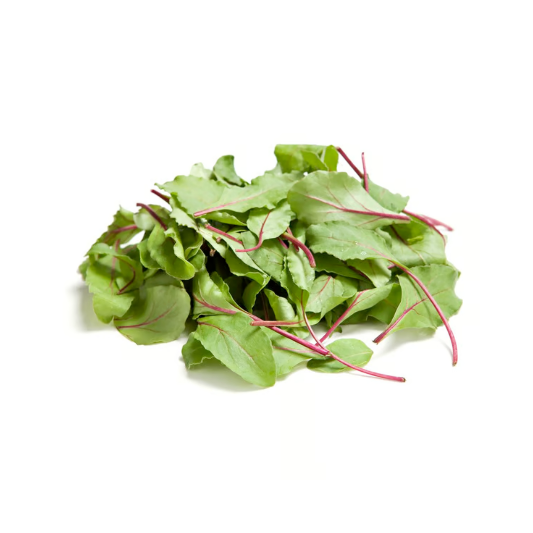 products/000000000080188548.png