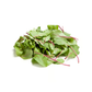 products/000000000080188548.png