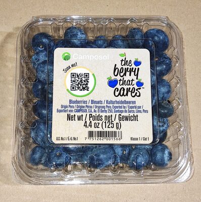 Kulturheidelbeeren Peru Klasse I 125g Klarsichtpackung