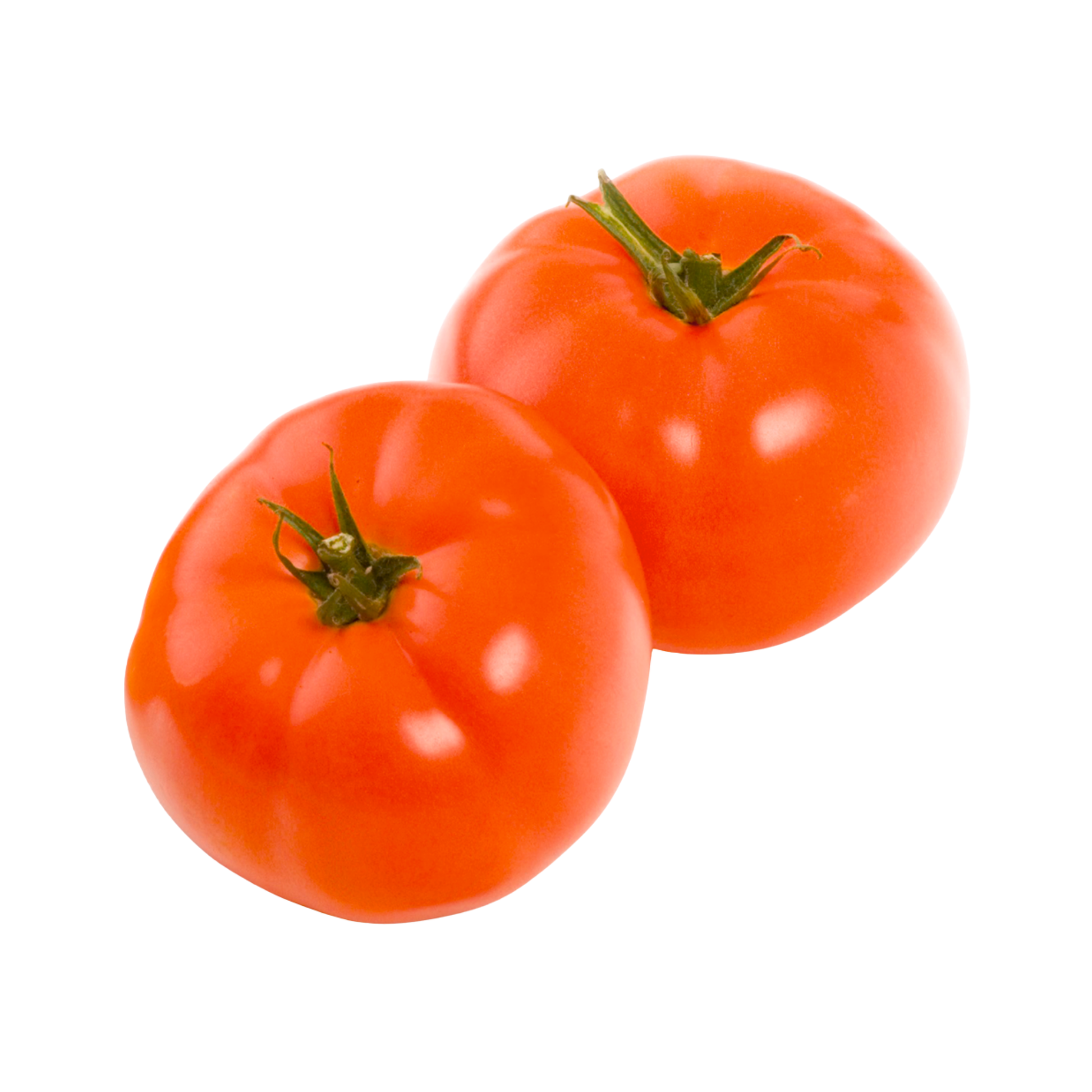 products/000000000080260013.png