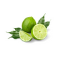 products/000000000080347767.png