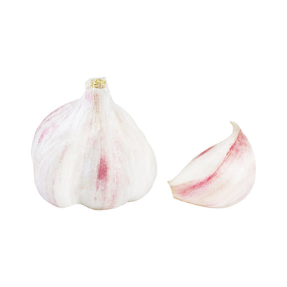 Knoblauch trocken weiß Spanien Klasse II