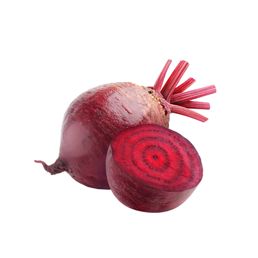 Bio Rote Bete Dänemark Klasse II