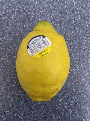 San Lucar Zitronen Spanien Klasse I