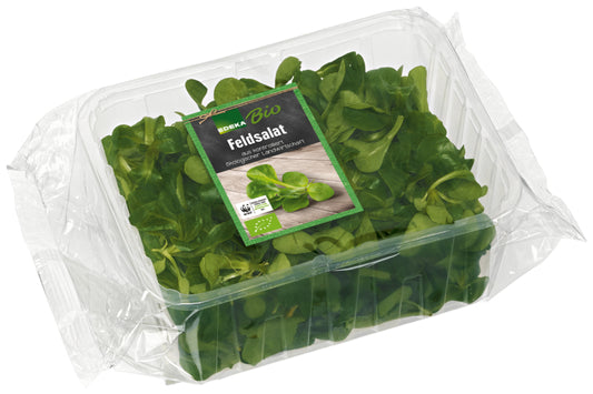 Bio EDEKA Feldsalat Italien Klasse II 100g Schale mit Flowpack