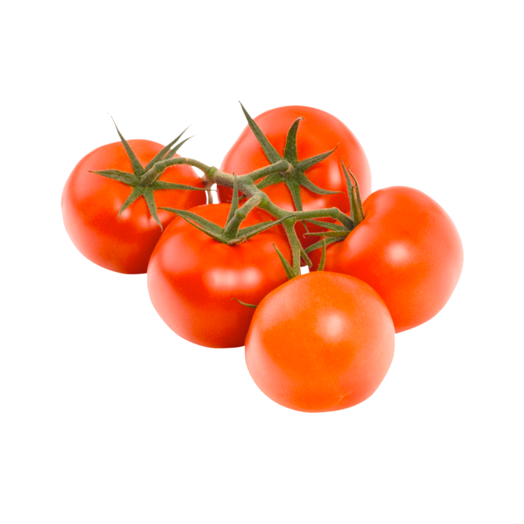 products/000000000080591779.png