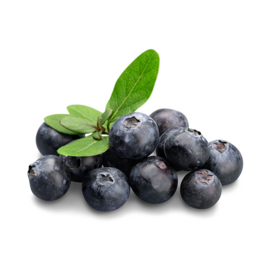 Kulturheidelbeeren Peru Klasse I 500g Klarsichtpackung