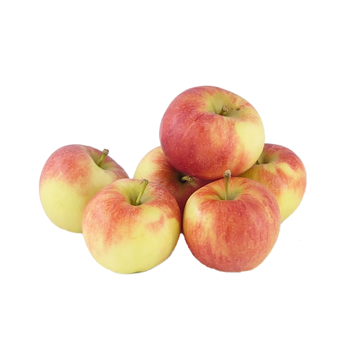 products/000000000080608523.png