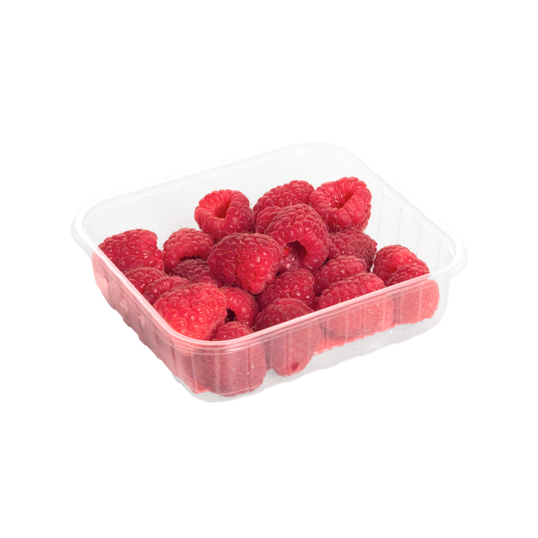 products/000000000080635976.png