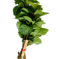 products/000000000080836748.jpg