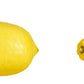 products/000000000080878223.jpg